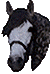 horsehead