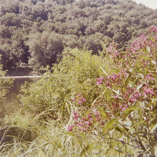 shore of allegheny